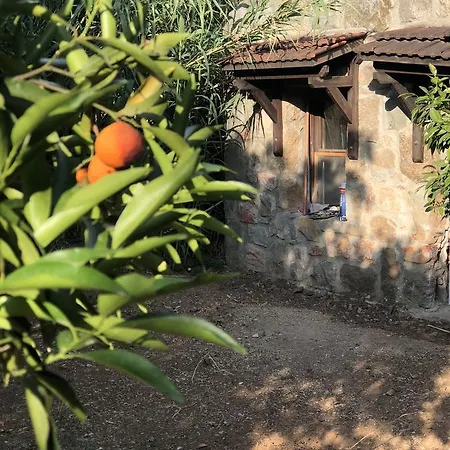 Holiday home Rita's Farm And Houses Mugla