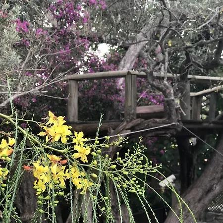 Rita's Farm And Houses * Mugla